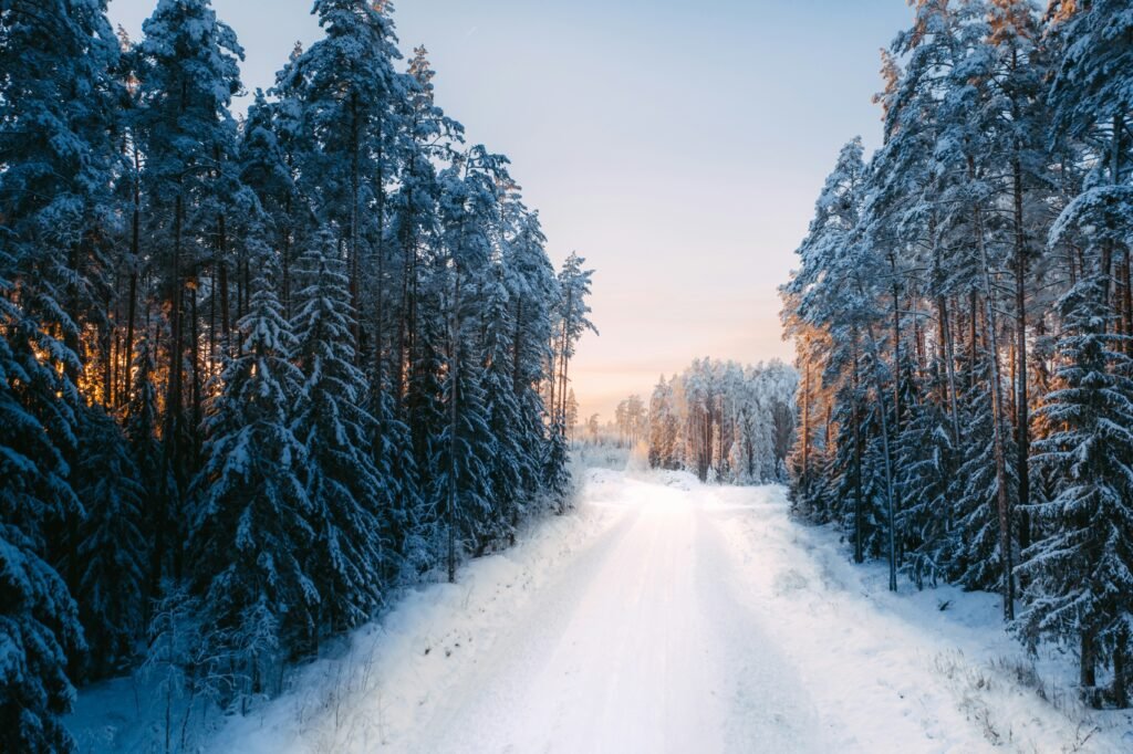 paysage neigeux